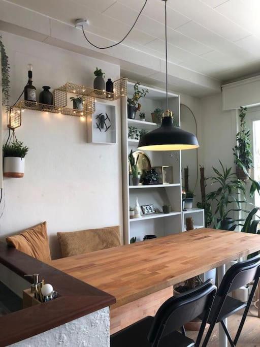 Studio Zeezucht Blankenberge Eksteriør billede